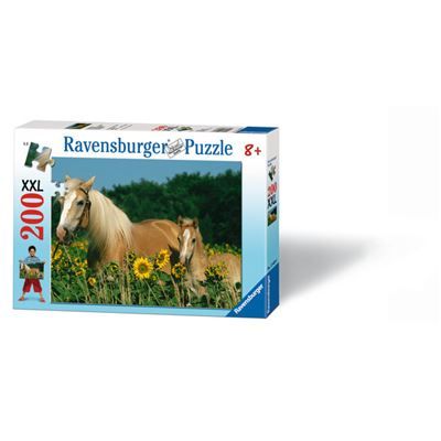 Spiel 10399.1