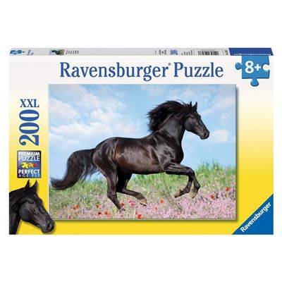 Spiel 10400.1